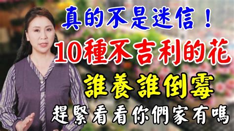 10種不吉利的花|10種「不吉利」的花，讓你家「霉運連連」，看看你家有沒有！？。